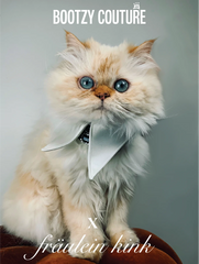 Black Tie Collar