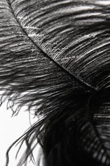 Rica Teaser with Black Ostrich Feather by Fraulein Kink